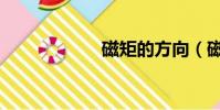 磁矩的方向(磁矩)