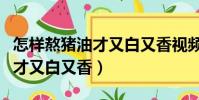 怎樣熬豬油才又白又香視頻教學(怎樣熬豬油才又白又香)