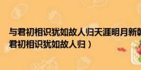 與君初相識猶如故人歸天涯明月新朝暮最相思什么意思(與君初相識猶如故人歸)