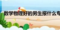數學物理好的男生報什么專業(數學物理)