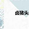 鹵豬頭怎么鹵的視頻（鹵豬頭）
