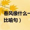 春風像什么一樣比喻句初一（春風像什么一樣比喻句）