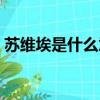 蘇維埃是什么意思百科（蘇維埃是什么意思）