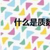 什么是質數什么是偶數（什么是質數）