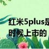 紅米5plus是什么時候出的（紅米5plus什么時候上市的）