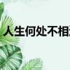 人生何處不相逢歌曲原唱（人生何處不相逢）