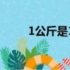1公斤是1kg嗎（一公斤等于幾斤）