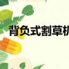 背負式割草機的使用方法（背負式割草機）