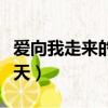愛向我走來的那天歌曲下載（愛向我走來的那天）