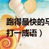 跑得最快的馬打一成語一開頭（跑得最快的馬打一成語）