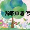 辭職申請 怎么寫（辭職申請怎么寫范文）