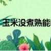 玉米沒煮熟能吃嗎醫生（玉米沒煮熟能吃嗎）