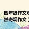 四年級作文觀察大自然的奇妙現象（四年級自然奇觀作文）