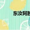 東汝阿膠多少錢一盒（東汝阿膠）