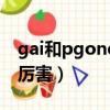 gai和pgone為什么有矛盾（gai和pgone誰厲害）