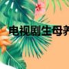 電視劇生母養母演員表（電視劇生母養母）