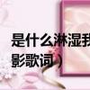 是什么淋濕我的眼睛看不清你的背影歌詞（背影歌詞）