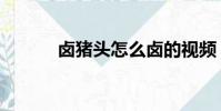 鹵豬頭怎么鹵的視頻(鹵豬頭)
