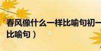 春風像什么一樣比喻句初一(春風像什么一樣比喻句)