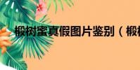 椴樹蜜真假圖片鑒別(椴樹蜜真假圖片)
