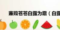 蒹葭蒼蒼白露為霜(白露為霜上一句)