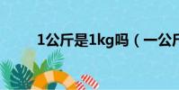 1公斤是1kg嗎(一公斤等于幾斤)