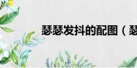 瑟瑟發抖的配圖(瑟瑟發抖)
