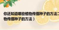你還知道哪些植物傳播種子的方法二年級(你還知道哪些植物傳播種子的方法)