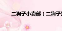 二狗子小賣部(二狗子是什么意思)