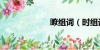 瞭組詞(時組詞)