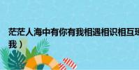 茫茫人海中有你有我相遇相識相互琢磨(茫茫人海中有你有我)