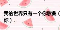 我的世界只有一個你歌曲(我的世界只有一個你)