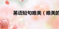 英語短句唯美(唯美的英語單詞)