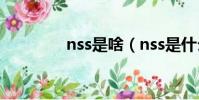 nss是啥(nss是什么意思)