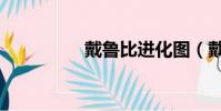 戴魯比進化圖(戴魯比)