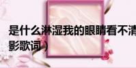 是什么淋濕我的眼睛看不清你的背影歌詞(背影歌詞)