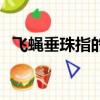 飛蠅垂珠指的是什么動物生肖（飛蠅垂珠）