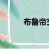 布魯帝交友軟件2019版（不擼）