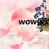 wow保險絲哪里掉（wow保險絲）