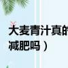 大麥青汁真的能減肥嗎視頻（大麥青汁真的能減肥嗎）