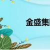 金盛集團有限公司（金盛集團）