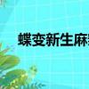 蝶變新生麻辣燙電視劇（麻辣燙電視劇）