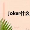 joker什么意思翻譯（joker什么意思）