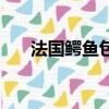 法國鱷魚包通勤小紅書（法國鱷魚包）
