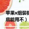 蘋果x組裝機可以賣多少錢（蘋果x組裝機到底能用不）