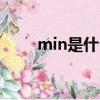 min是什么意思（mix是什么意思）
