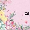 cas號怎么讀（cas號）