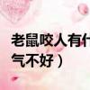 老鼠咬人有什么預兆會有好運嗎（老鼠咬人運氣不好）