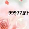 99977是什么意思（999是什么意思）