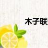 木子聯盟手機掛機（木子聯盟）